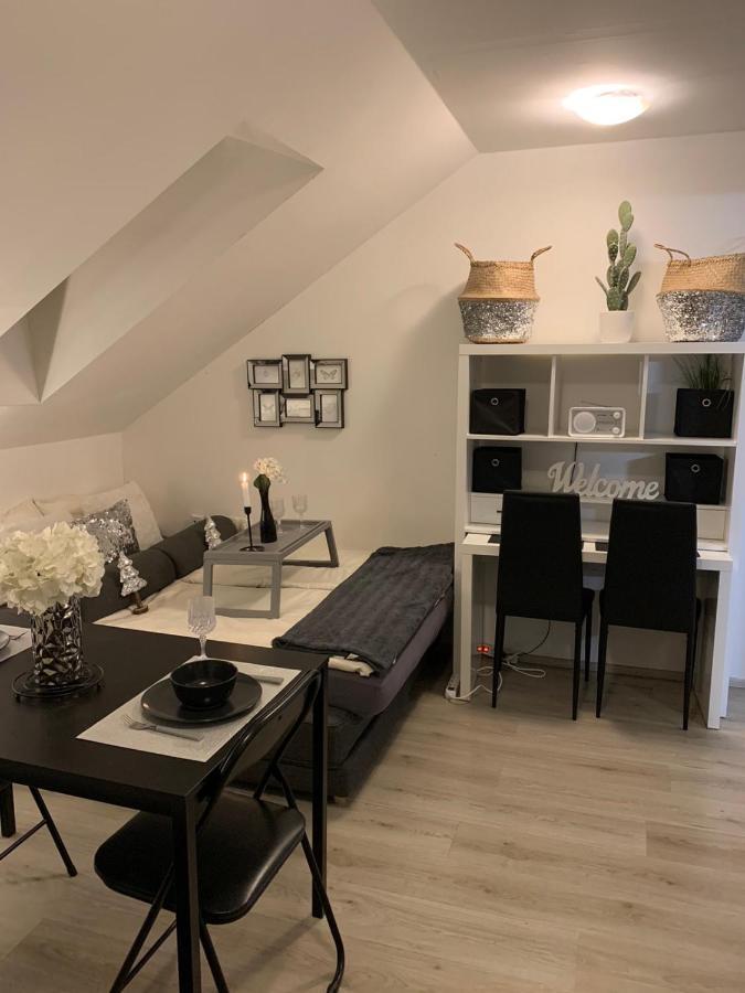 Apartment Mansarda Maribor Exterior photo
